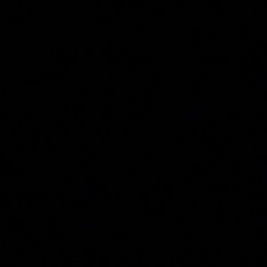 Meet your Posher, Maya